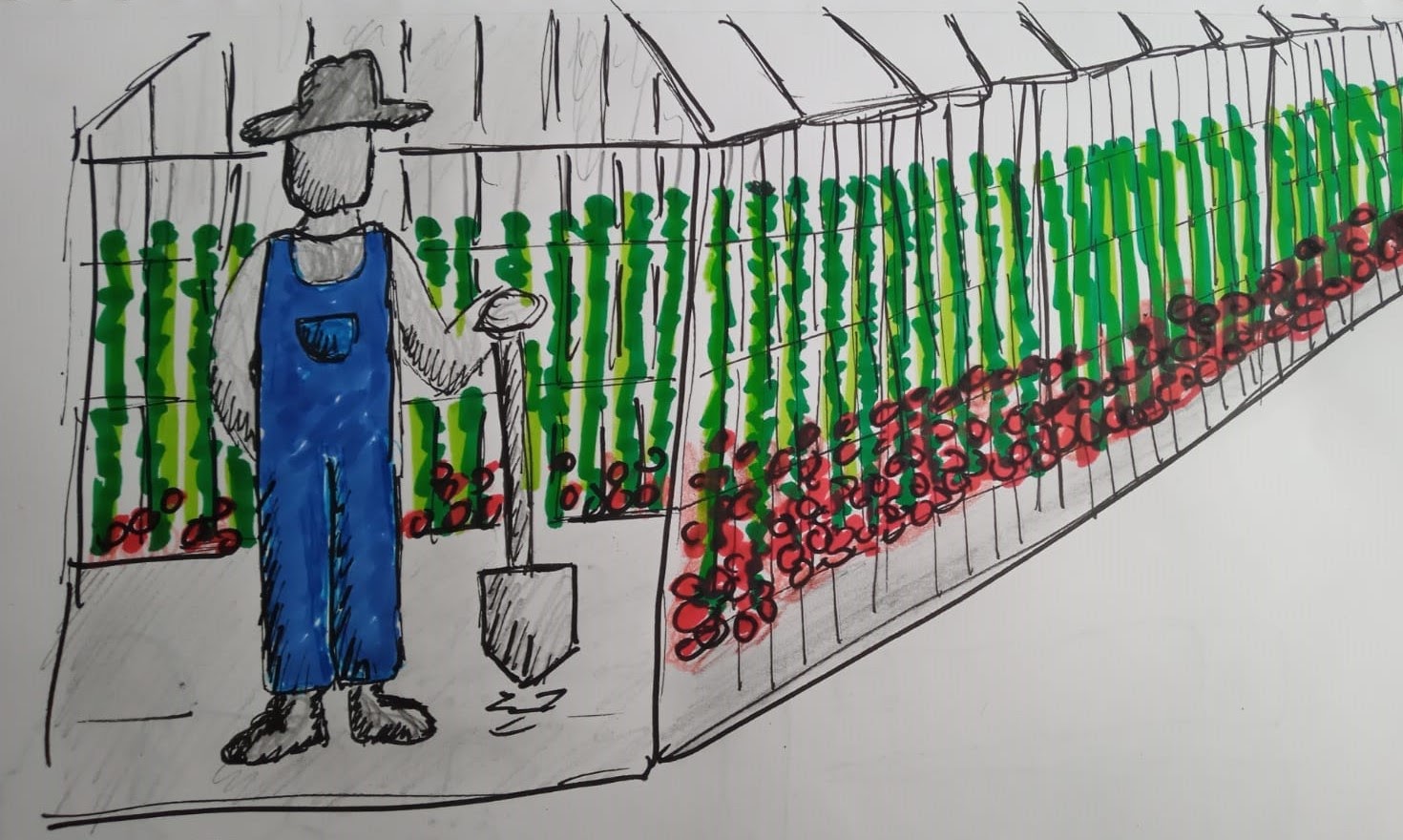 Hand drawn sketch of farmer in front of greenhouse