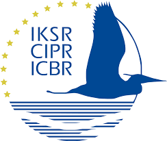 Logo-ICPR